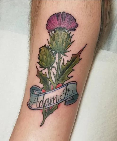 Flower, 선인장