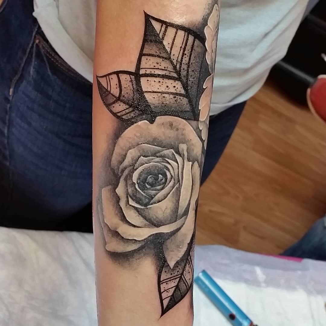 Flower, Rose