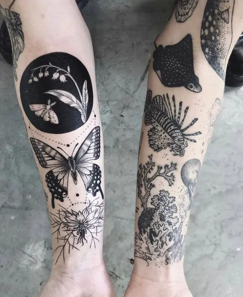 Animal, Nature