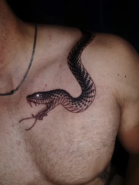 전갈, Snake, 도마뱀