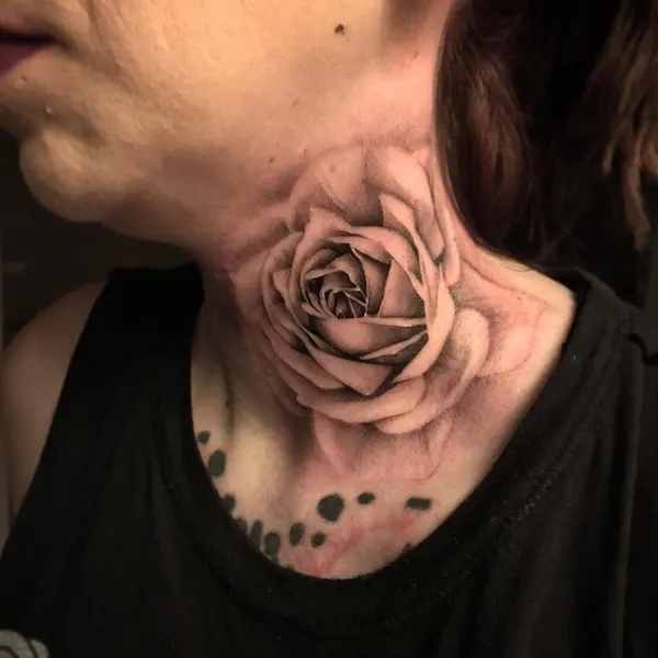 Flower, Rose, Nature