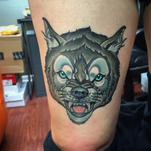 Animal, Tiger