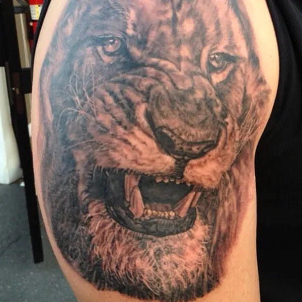 Tiger