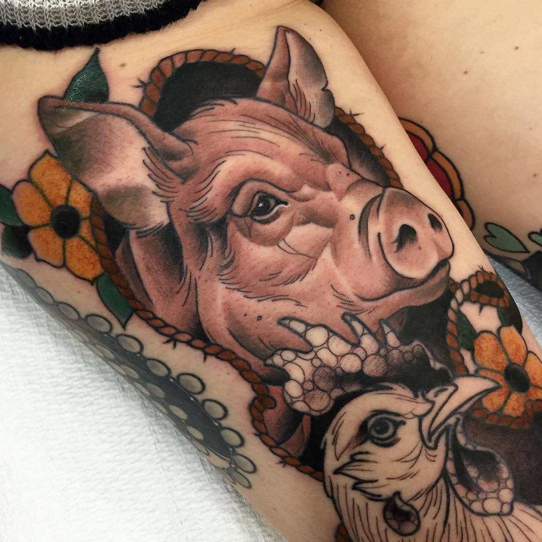 Animal, 소, 돼지, 황소