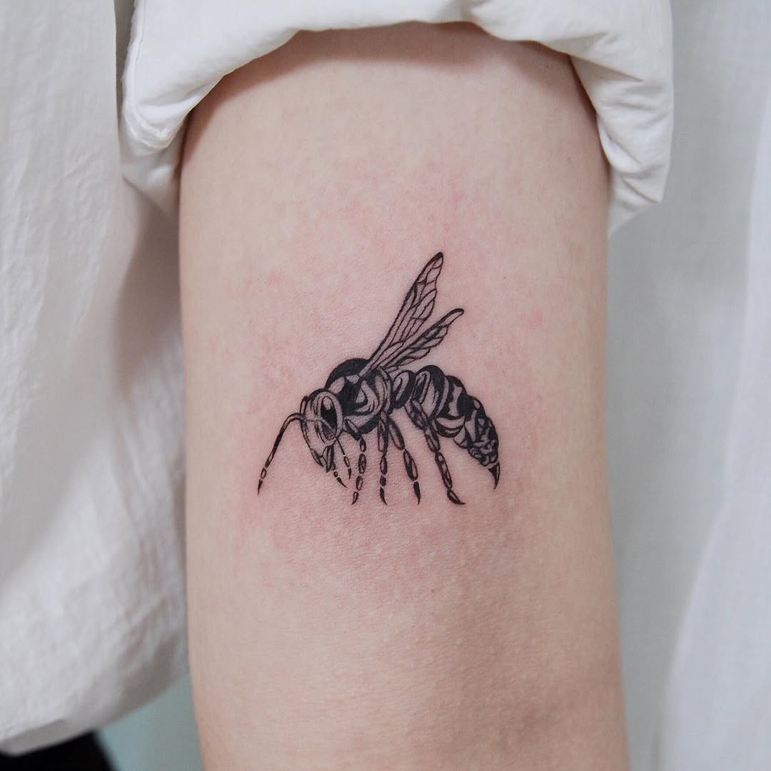 Animal, 개미, 벌