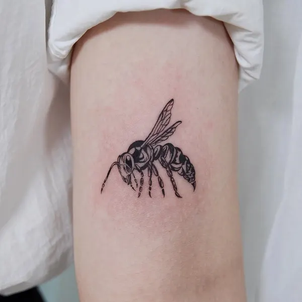 Animal, 개미, 벌