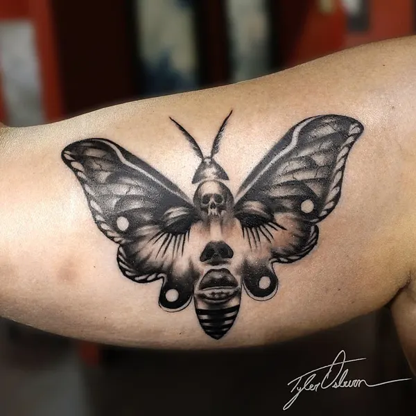 벌, Animal, Nature, 나방, 매미