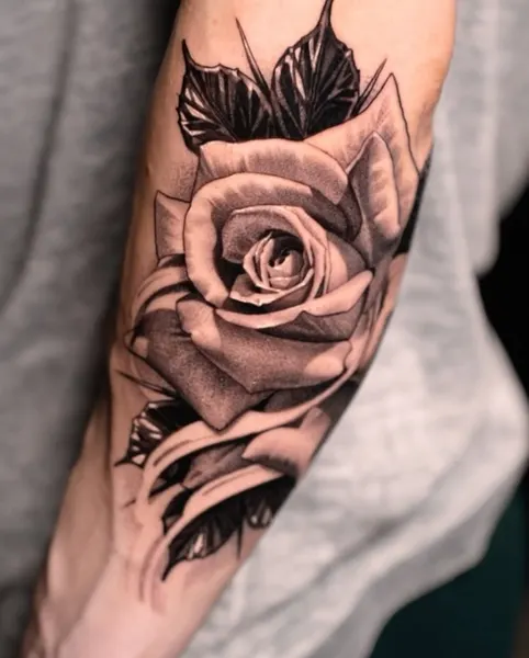Flower, Rose
