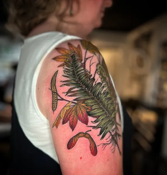 잎, Flower, 고사리, 은행잎