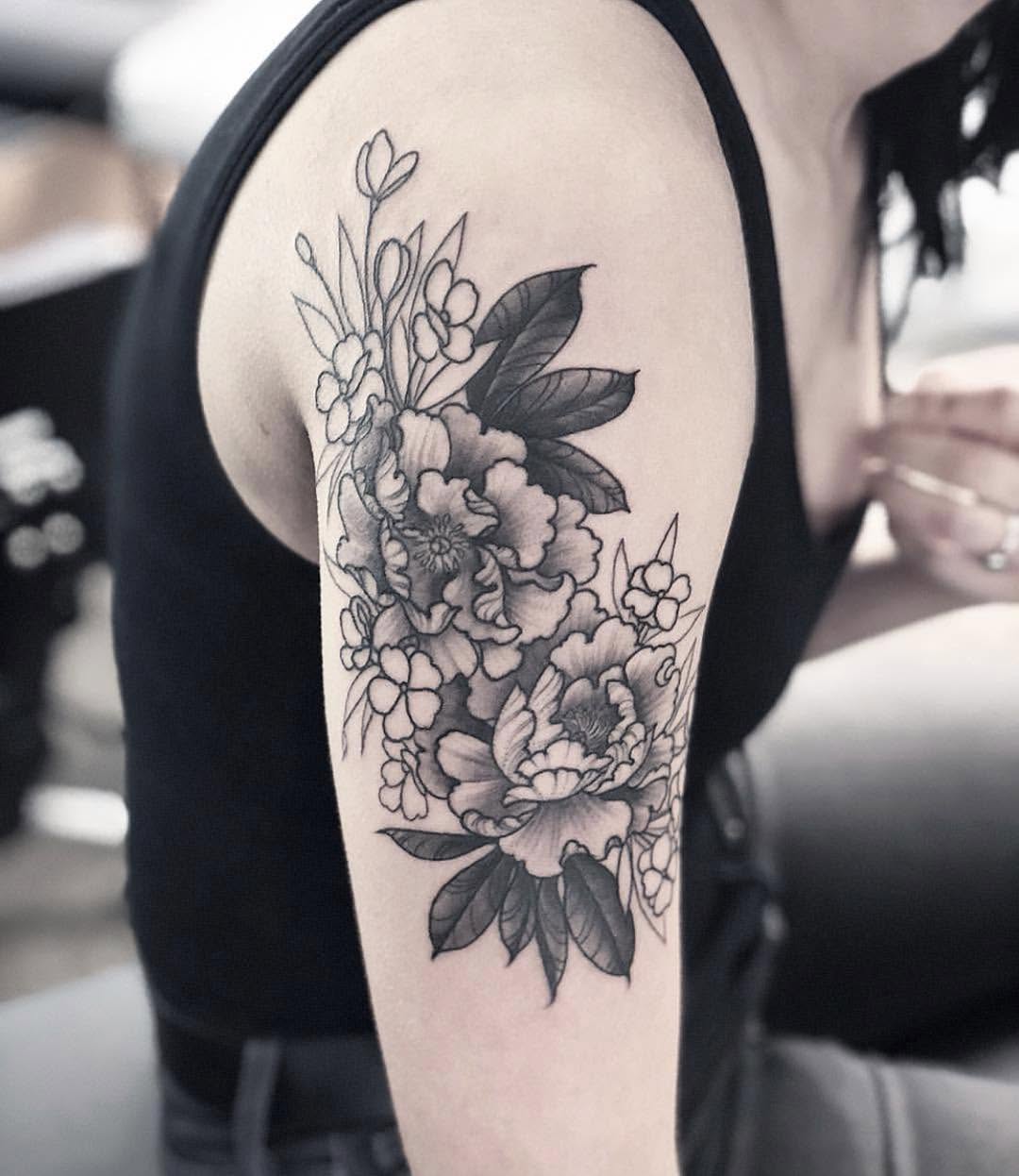 Nature, Flower, Rose