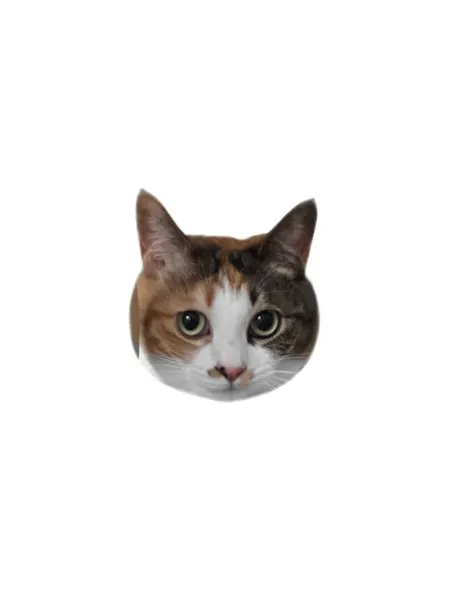 Animal, 고양이, 마네키네코, 텐구, 함사, 반려동물, 반려동물 추모, 여우 가면