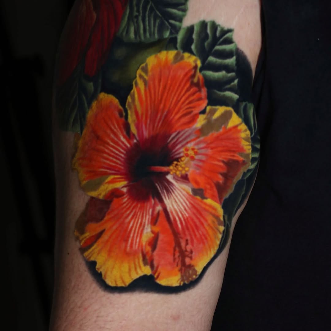Flower, Nature, 양귀비, 히비스커스