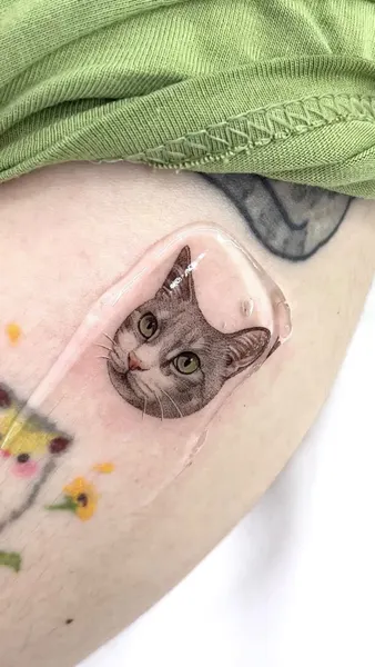 고양이