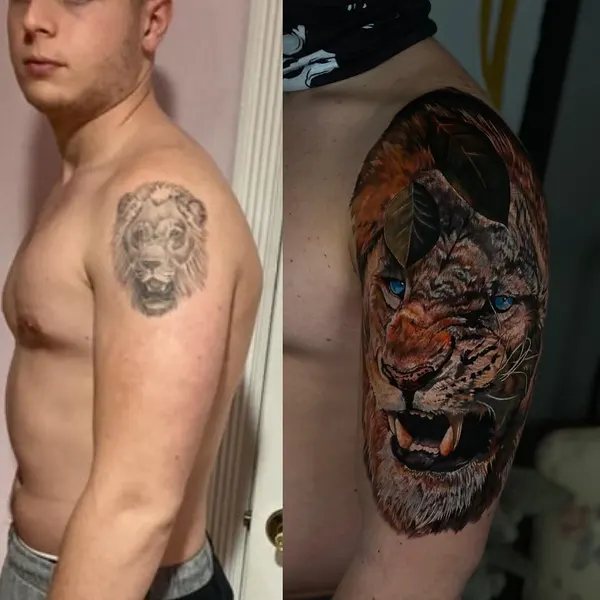 Tiger, 변화