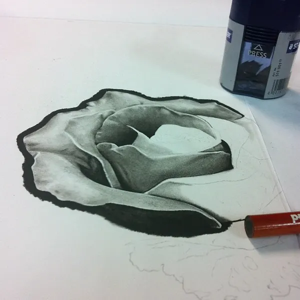 Flower, Rose