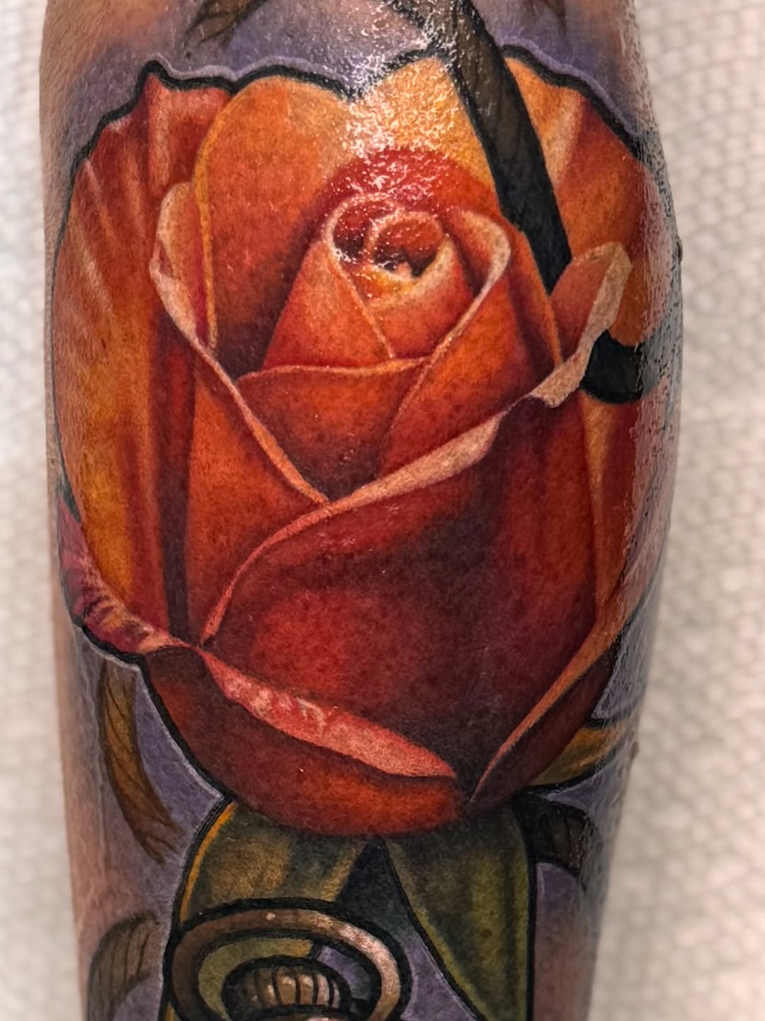 Flower, Rose