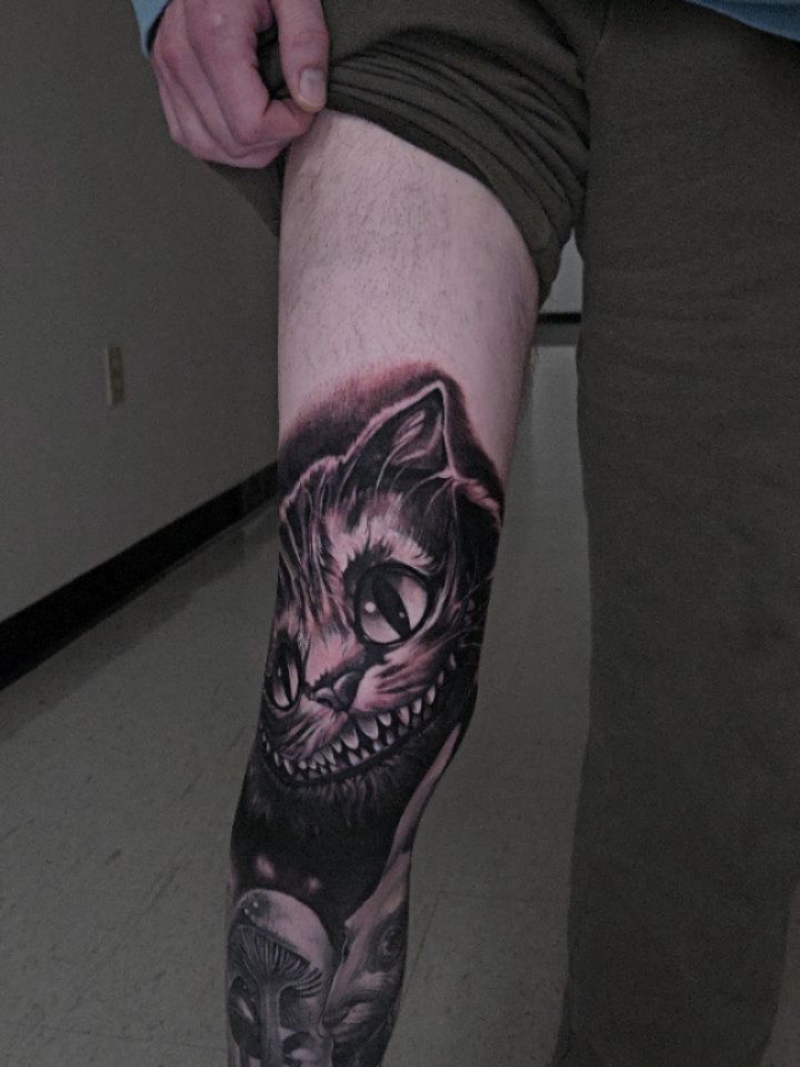 Animal