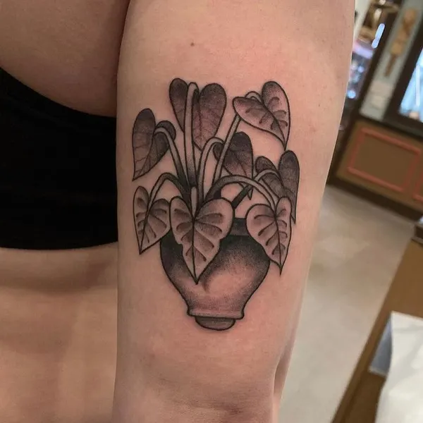 Flower, 선인장