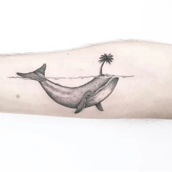 Nature, 고래, 돌고래, 상어
