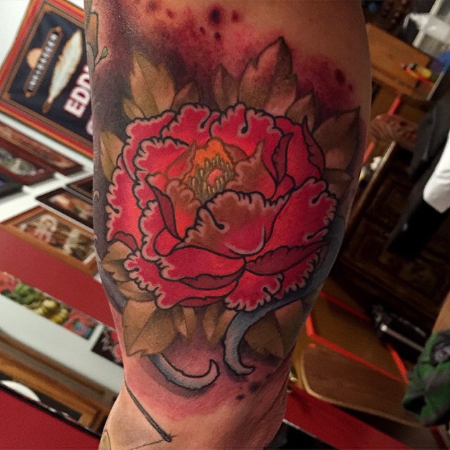 Flower, Rose
