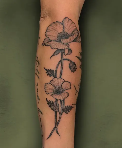 Flower, Rose, 양귀비