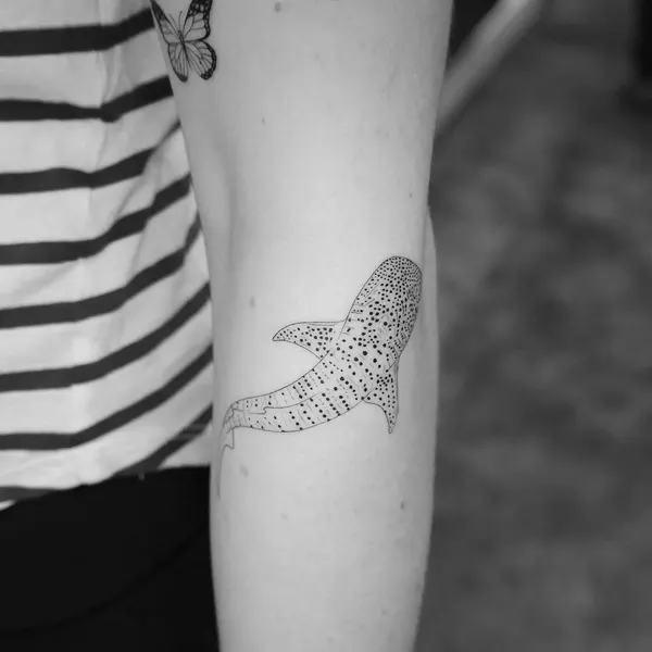 mnsantanatattoo