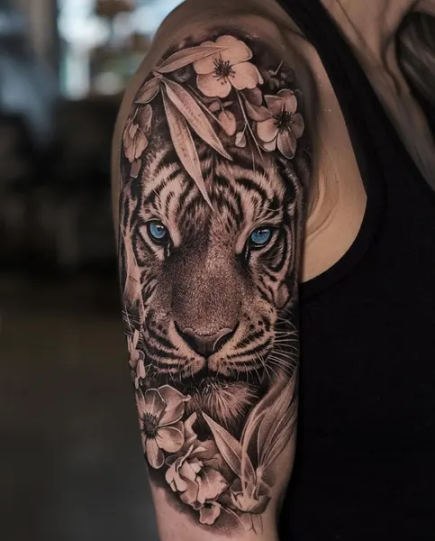 Tiger, 치타, 표범, 중국 호랑이