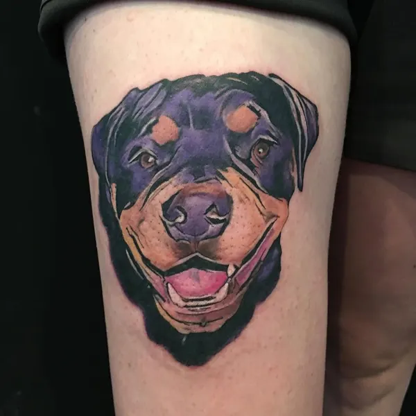 Animal