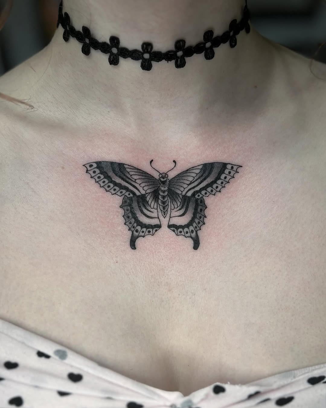 Animal, Nature, 나방