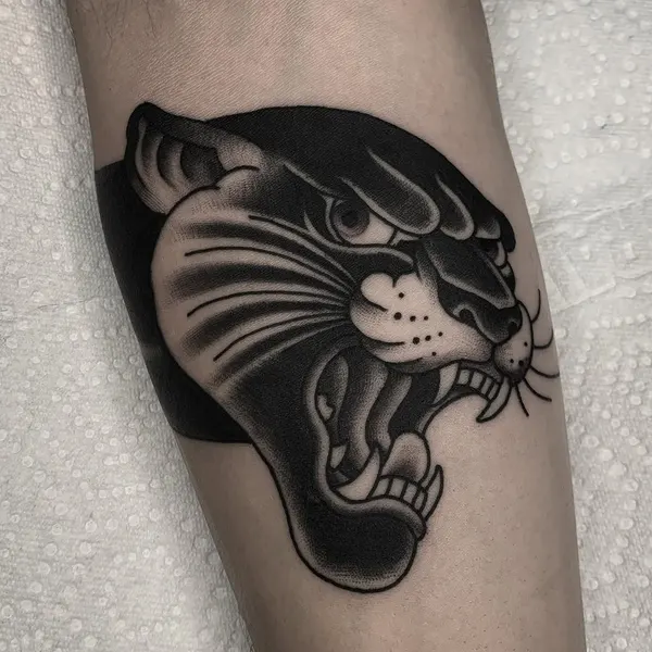Animal, Tiger, 팬서
