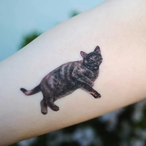 고양이