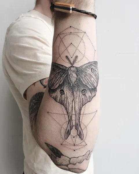 Animal, Nature