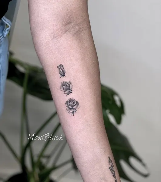 Rose, Flower