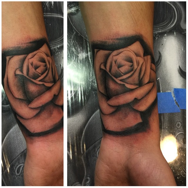 Flower, Rose