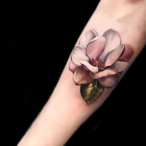Flower, Rose, 튤립, 난초