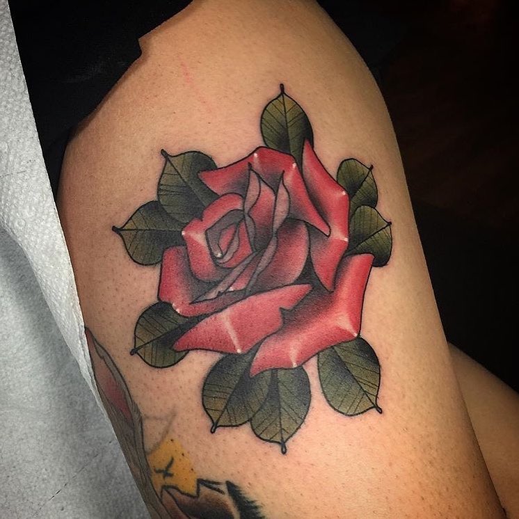 Flower, Rose, Nature