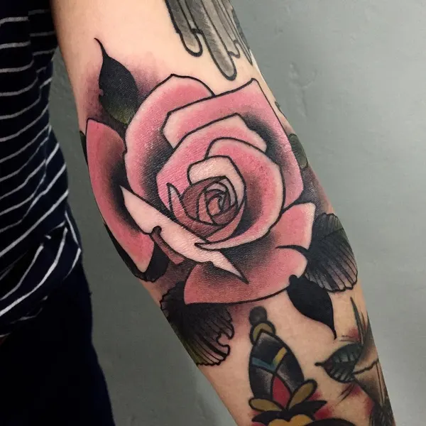 Flower, Rose