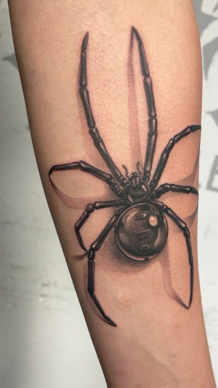 Animal, 거미