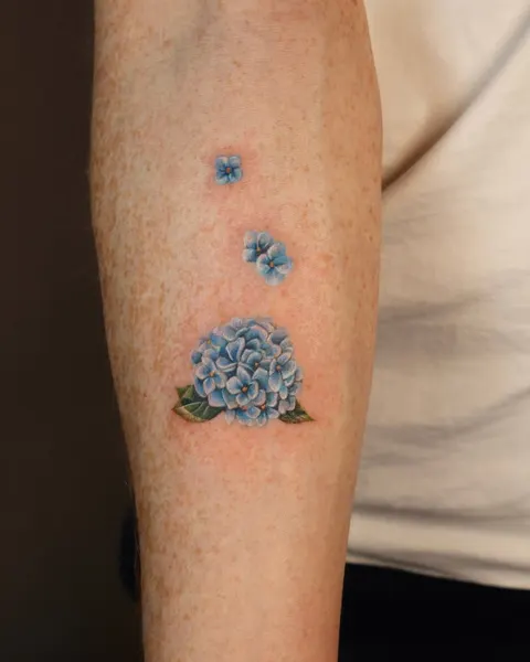 Flower, 수국