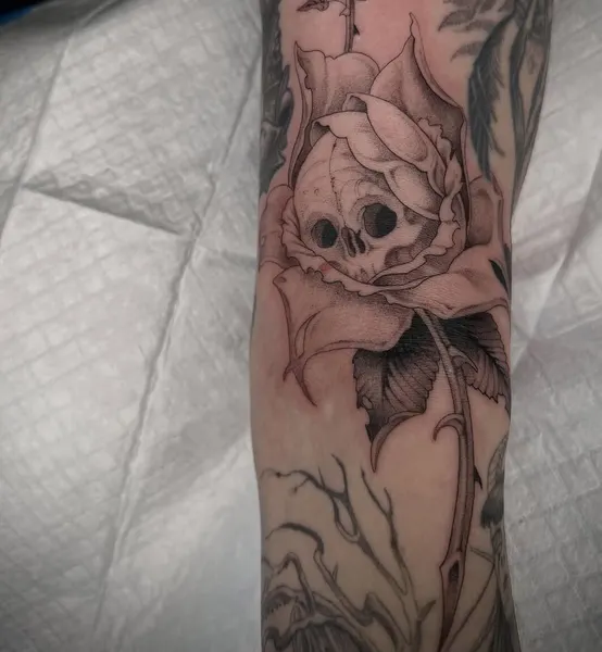 Flower, Rose