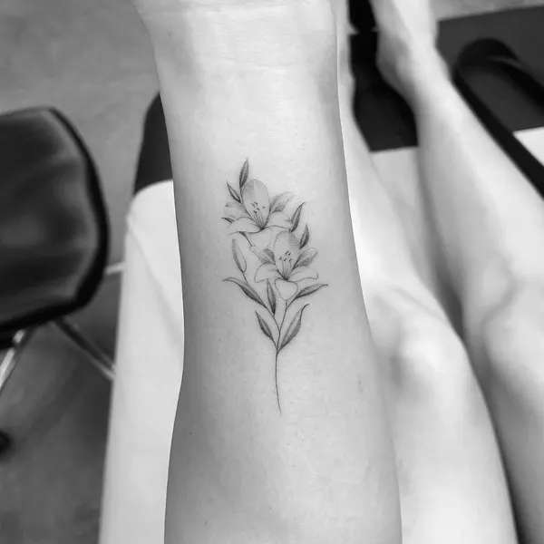 Flower, 잎, 풀, 허브, 고사리, 은행잎, 단풍잎, 야생화