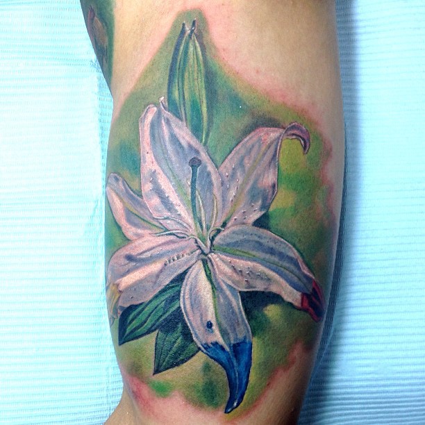 Flower, 백합
