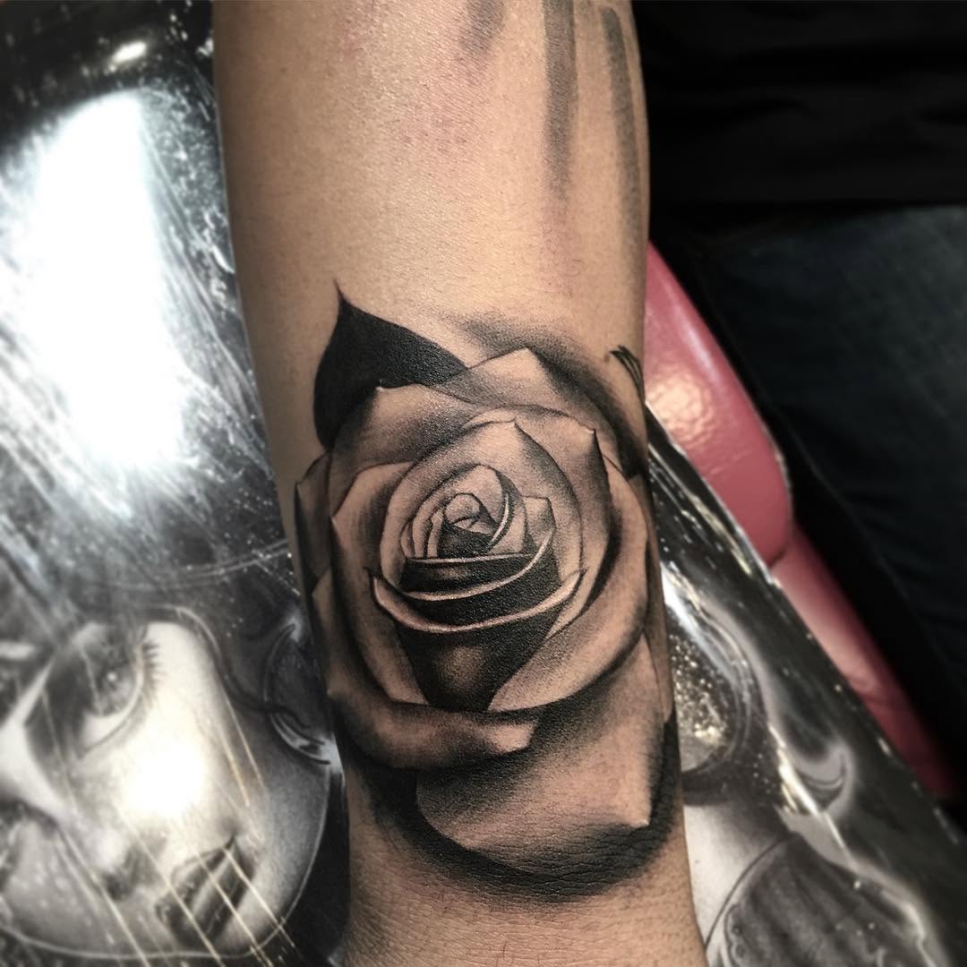 Flower, Rose
