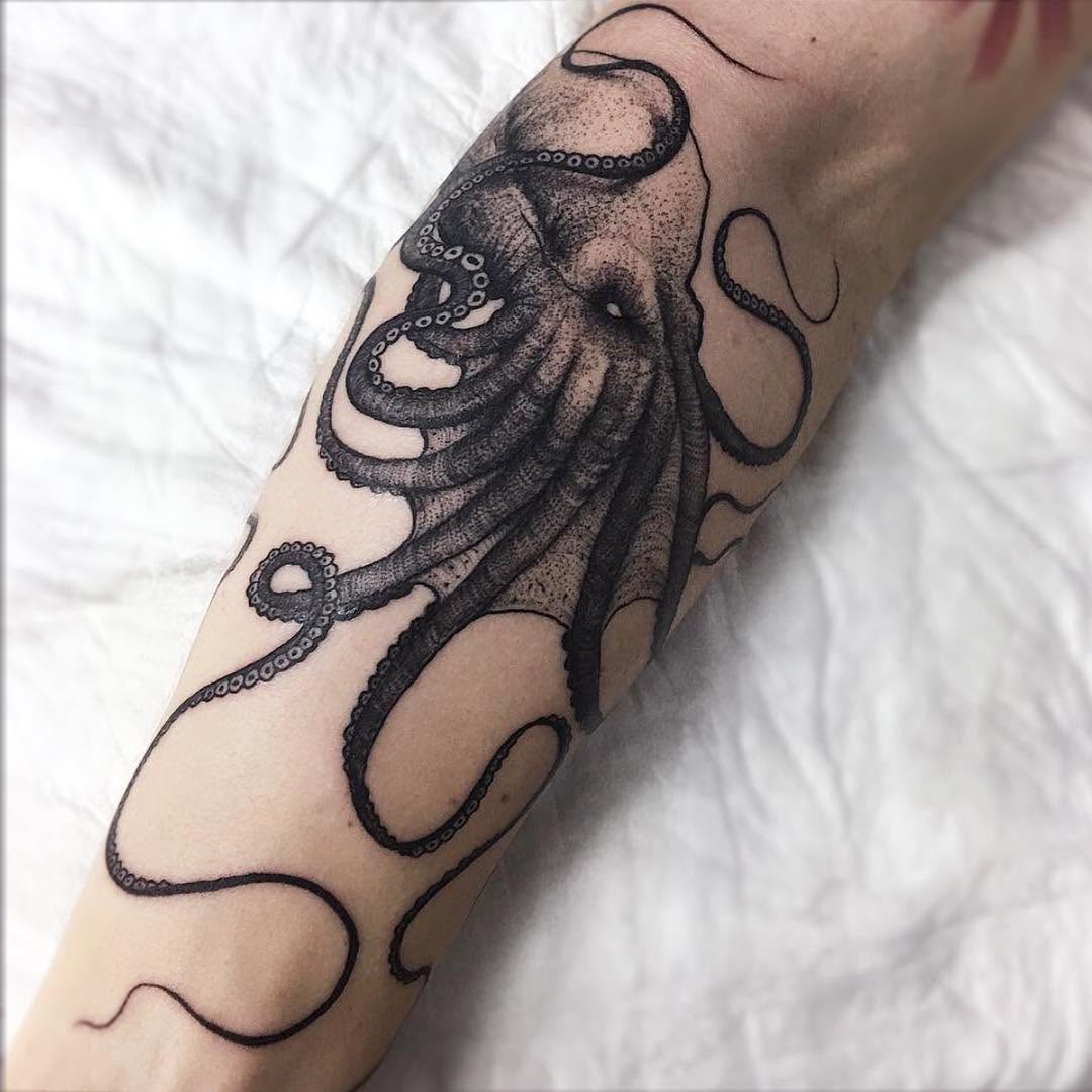 Animal, 문어