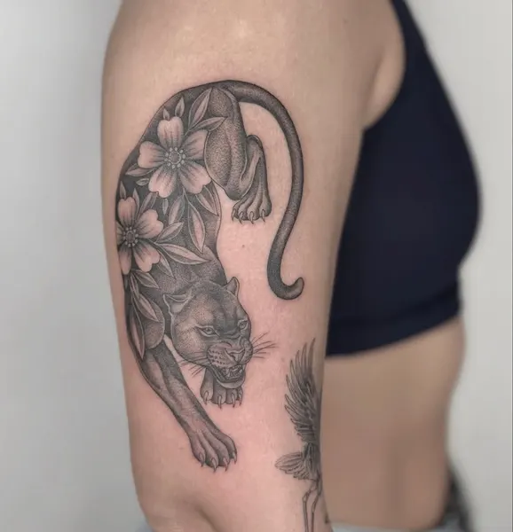 Tiger, Animal