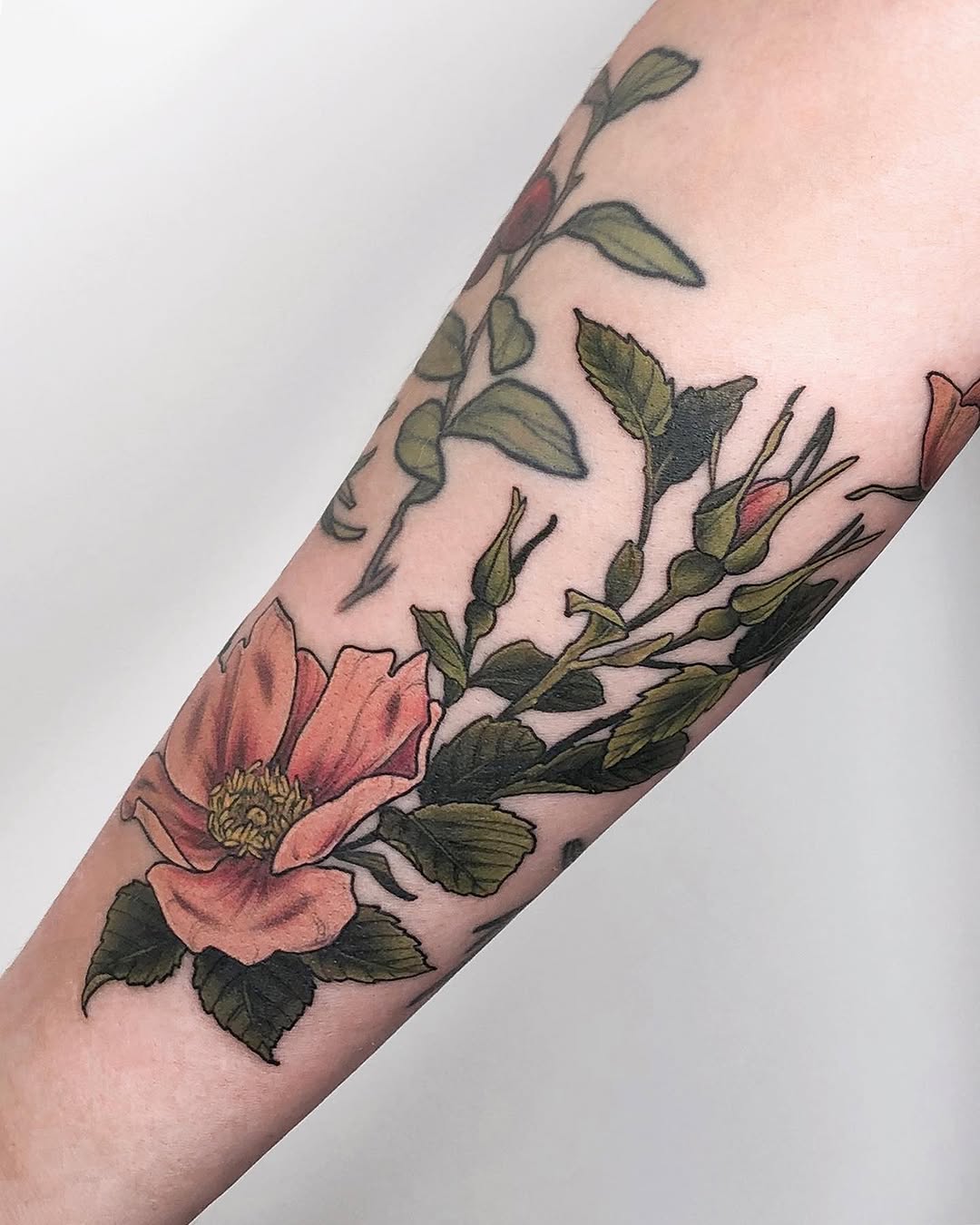 Flower, Rose