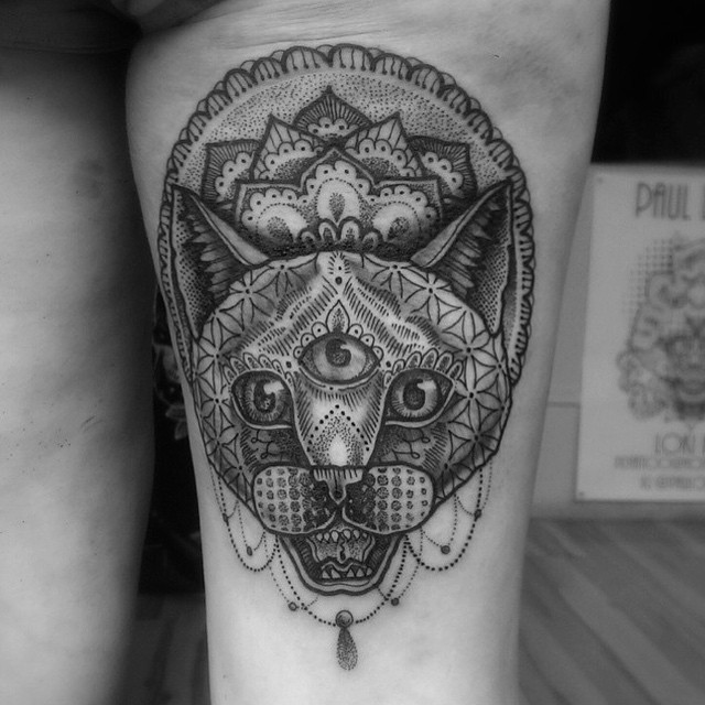 Tiger, Animal