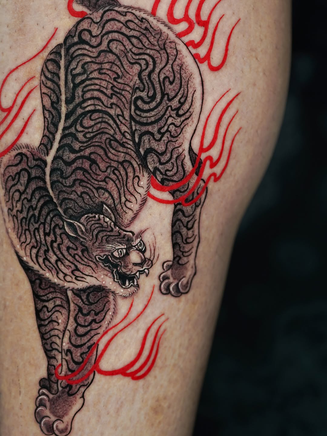 Tiger, Animal
