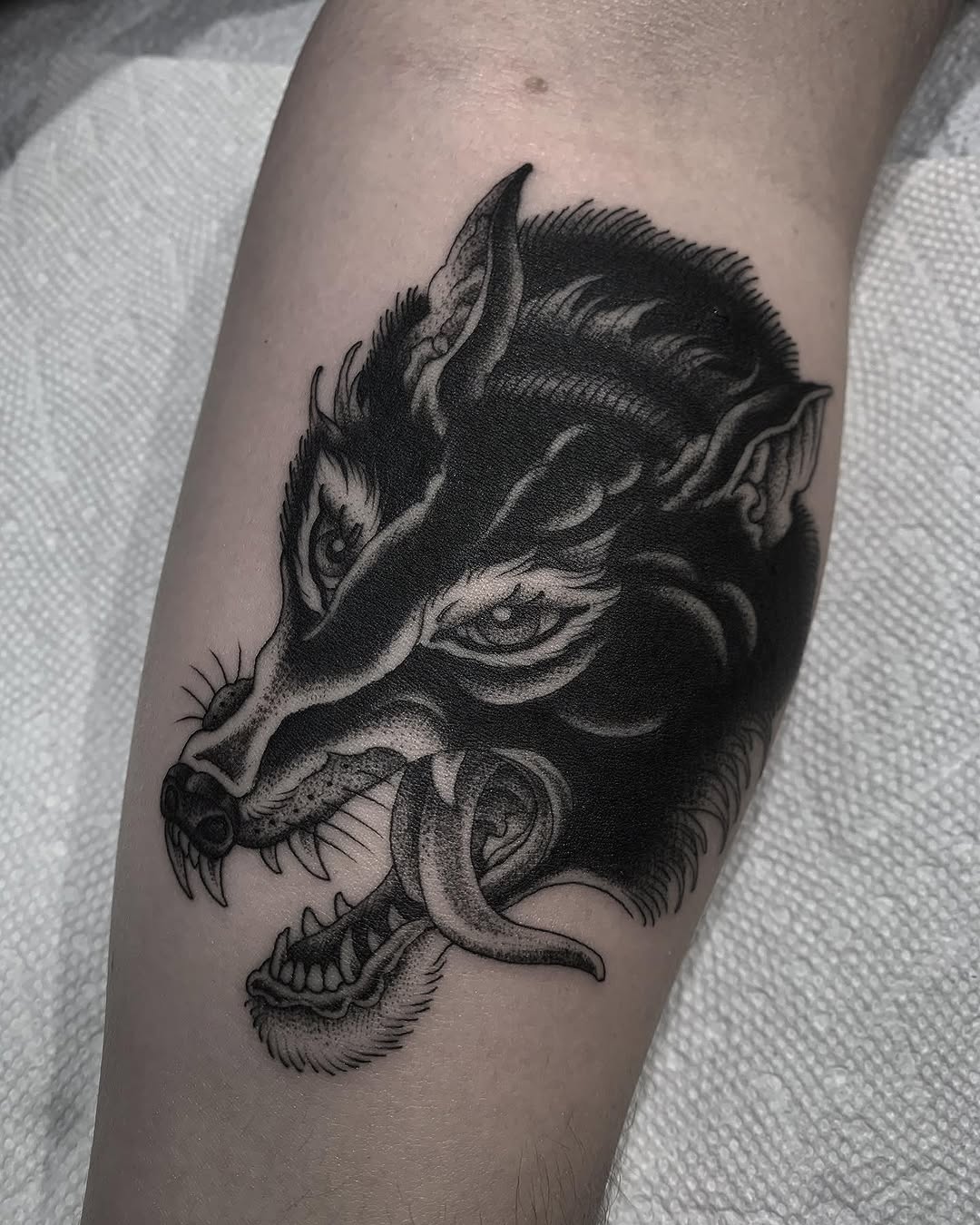 Animal, Tiger