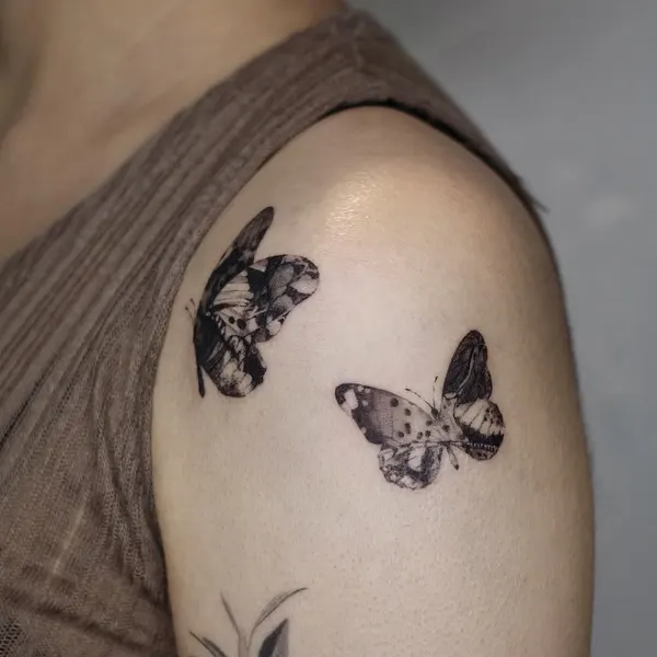 Animal, Nature, 쥐